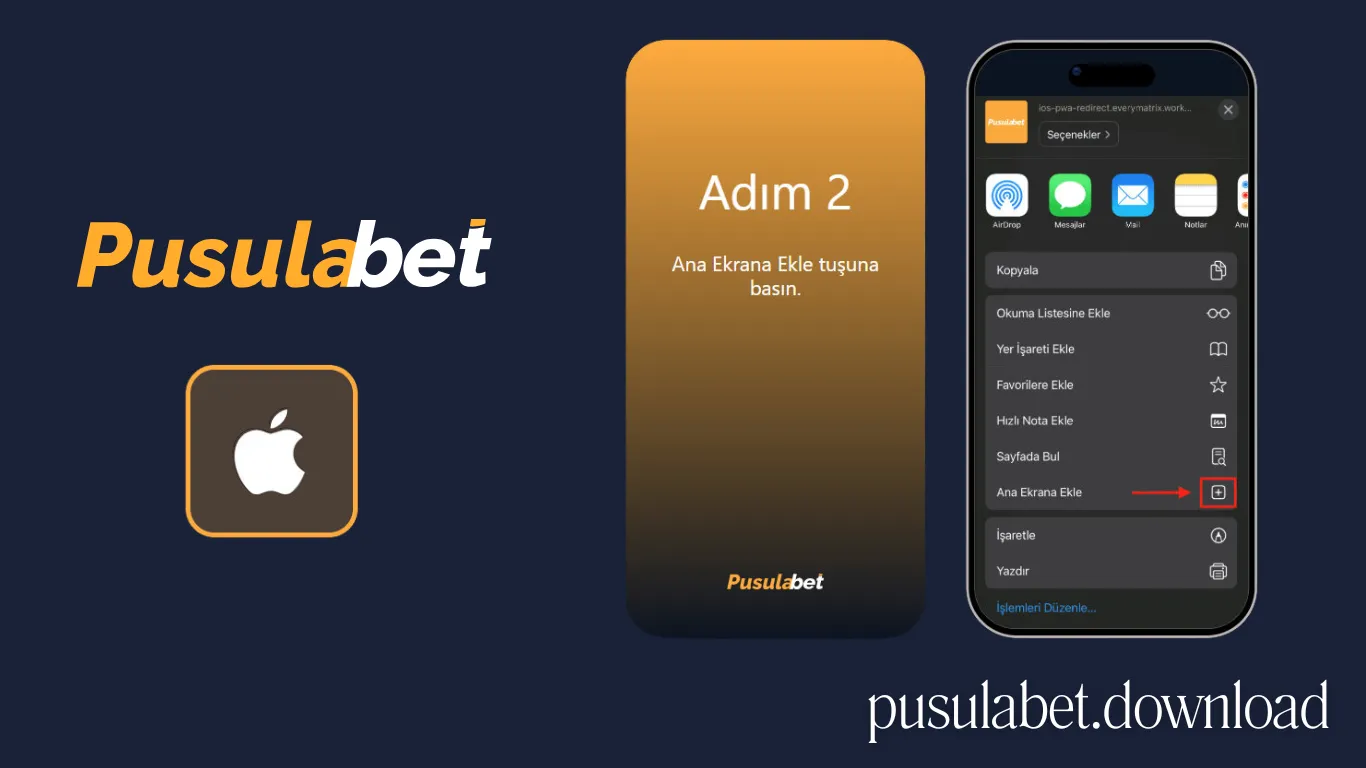 iOS kurulum adım 2 — adresin girilmesi